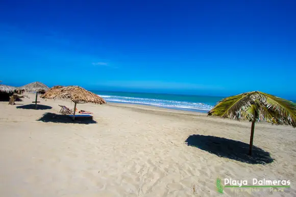 Hotel Playa Palmeras Los Órganos
